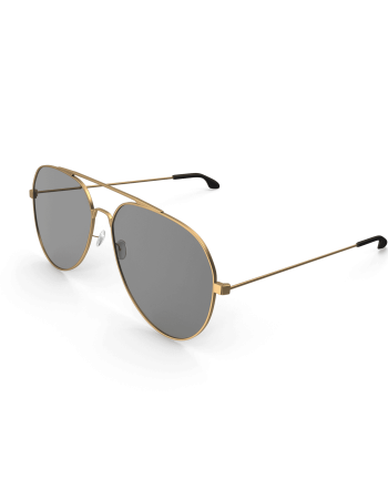 Gold Rimmed Aviators