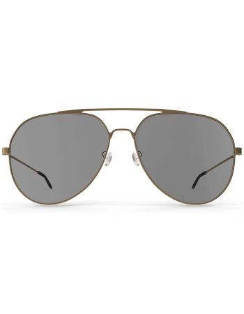 Gold Rimmed Aviators