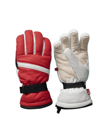 Ski Gloves 05